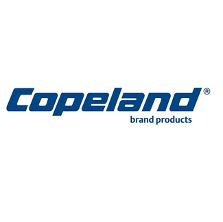 Copeland Compressor ABV-7A 7/8" Ball Valve W/Accessfitting